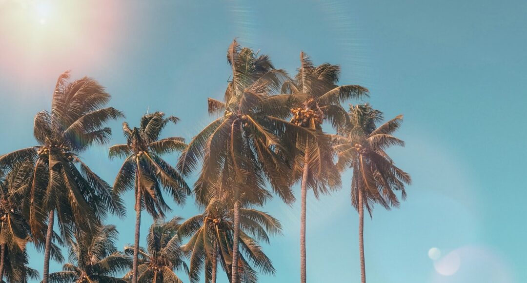 ¡El verano ya está aquí! Respira tranquilo