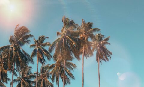 ¡El verano ya está aquí! Respira tranquilo